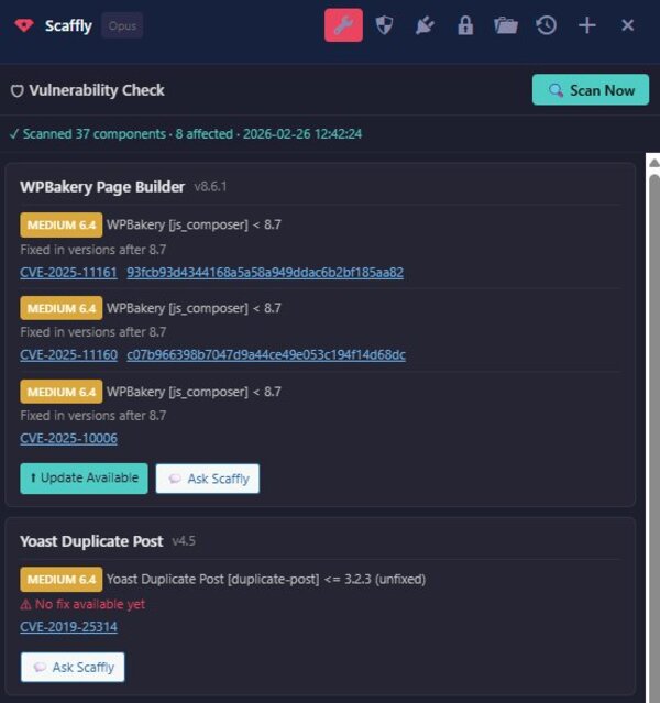 Scaffly vulnerability scanner with CVE cross-referencing